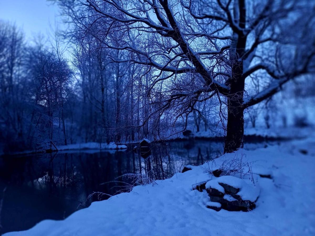 Ferienhaus Sinneswandel Sehmatal Buitenkant foto